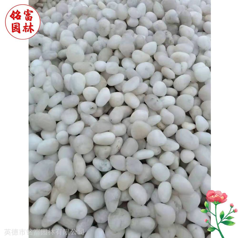 花园路径铺路石-白色鹅卵石-茂名鹅卵石厂家(图8)